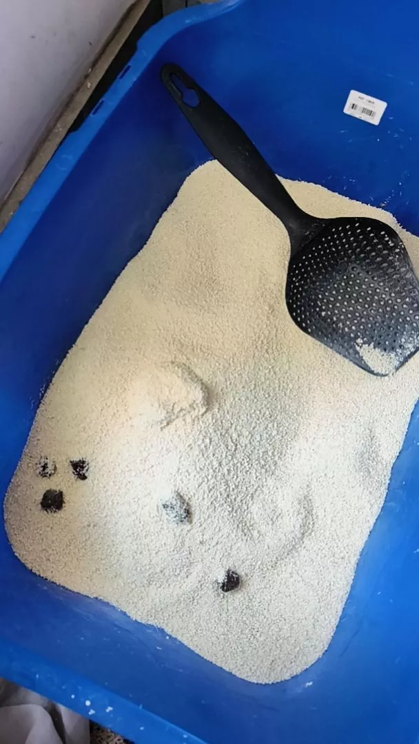 Foto de avaliação 6 da areia higiênica de mandioca Esconde Aí