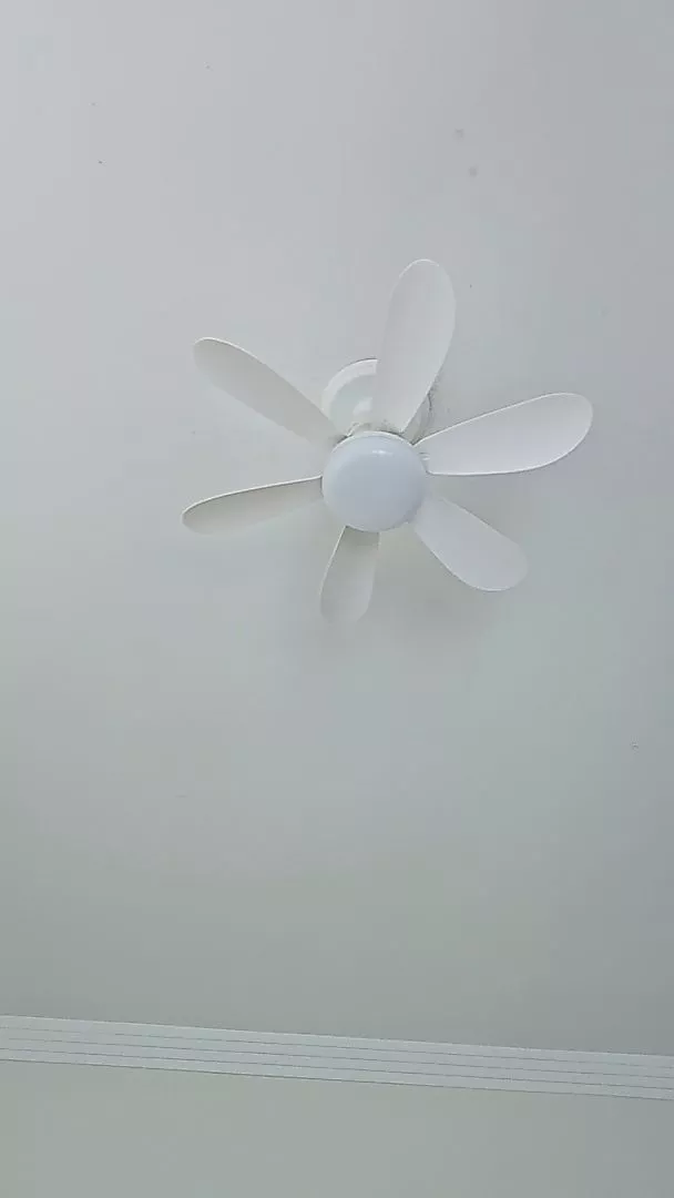 Foto de cliente 2 do Ventilador de Teto com LED