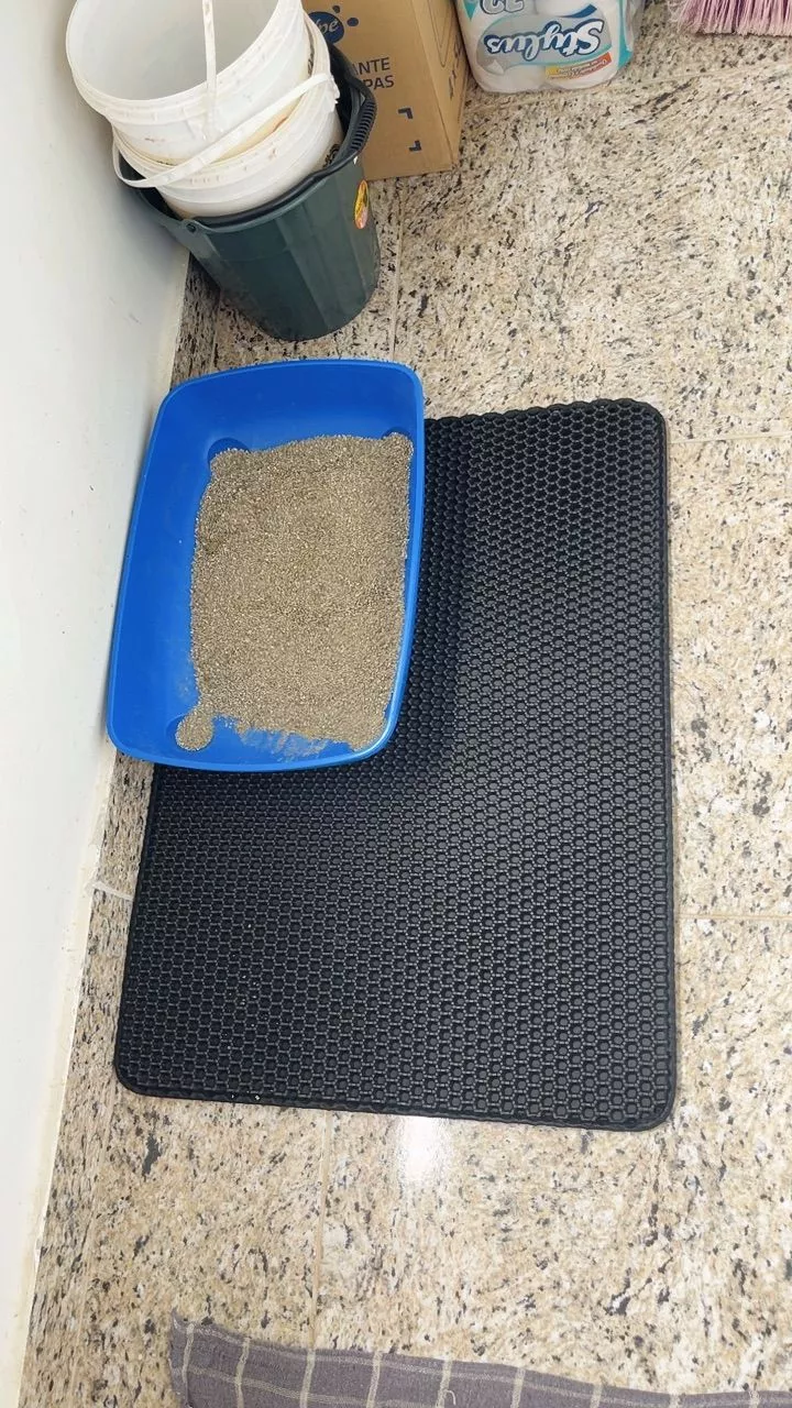 Avaliação de Patrícia M.